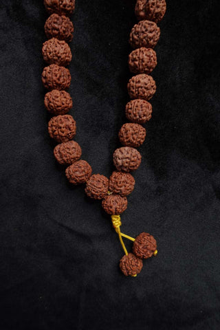 108 Large Beads Rudraksha Mala