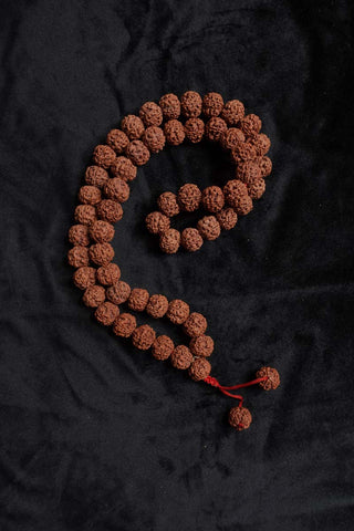 54 Large Beads Rudraksha Mala