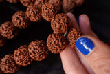 108 Large Beads Rudraksha Mala - Svietliy’s