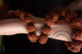 108 Large Beads Rudraksha Mala - Svietliy’s