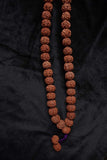 108 Large Beads Rudraksha Mala - Svietliy’s