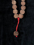54 Large Beads Rudraksha Mala - Svietliy’s