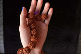 54 Large Beads Rudraksha Mala - Svietliy’s