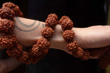 54 Large Beads Rudraksha Mala