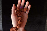 108 Large Beads Rudraksha Mala