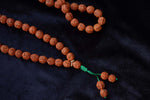 108 Beads Rudraksha Mala