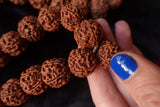 54 Large Beads Rudraksha Mala