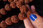 108 Large Beads Rudraksha Mala