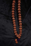 108 Large Beads Rudraksha Mala