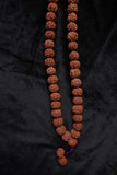 108 Large Beads Rudraksha Mala