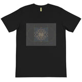 Sri Yantra Rainbow Map Organic T-Shirt